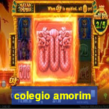 colegio amorim